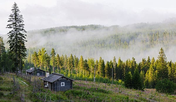 schweden05